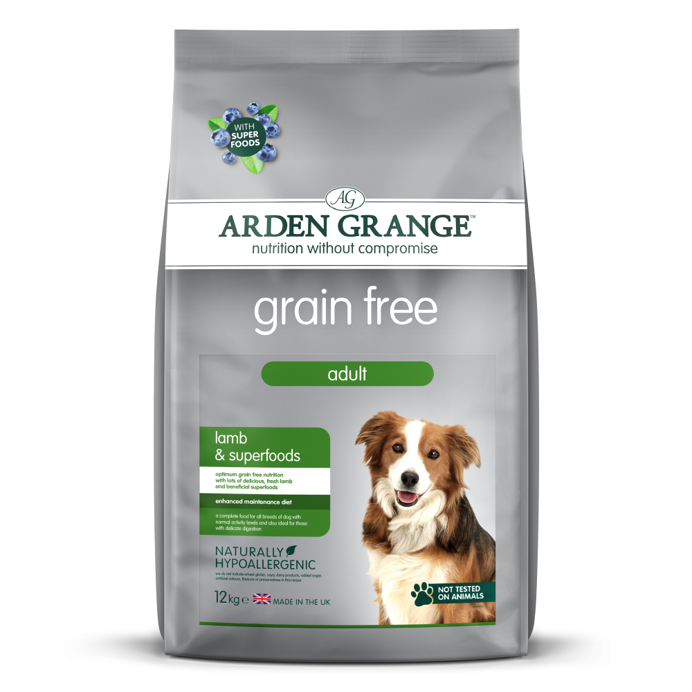 Not grain free dog clearance food